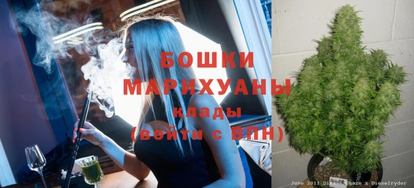 ПСИЛОЦИБИНОВЫЕ ГРИБЫ Балабаново