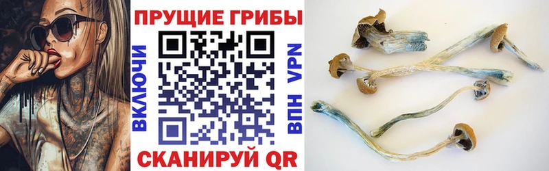 Галлюциногенные грибы мицелий Заречный