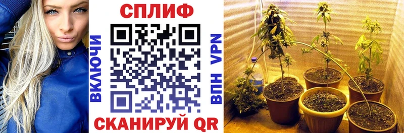 МАРИХУАНА планчик  Заречный 